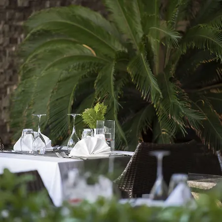 Tui Blue Barut Andiz (adults Only) 3* シダ